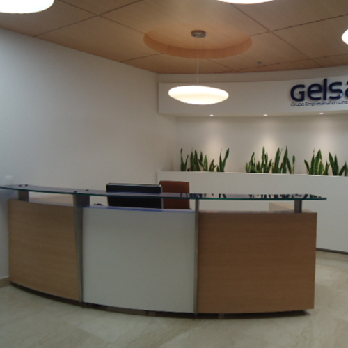 GELSA 1