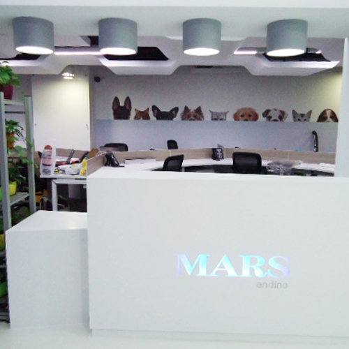 MARS 6