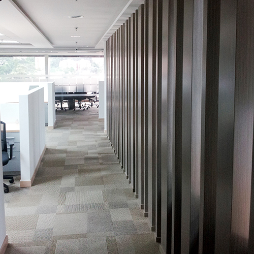 PAREX 1